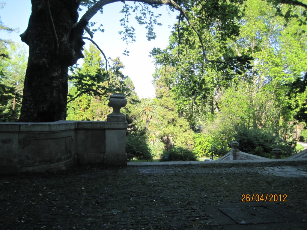 Botanisk have 1